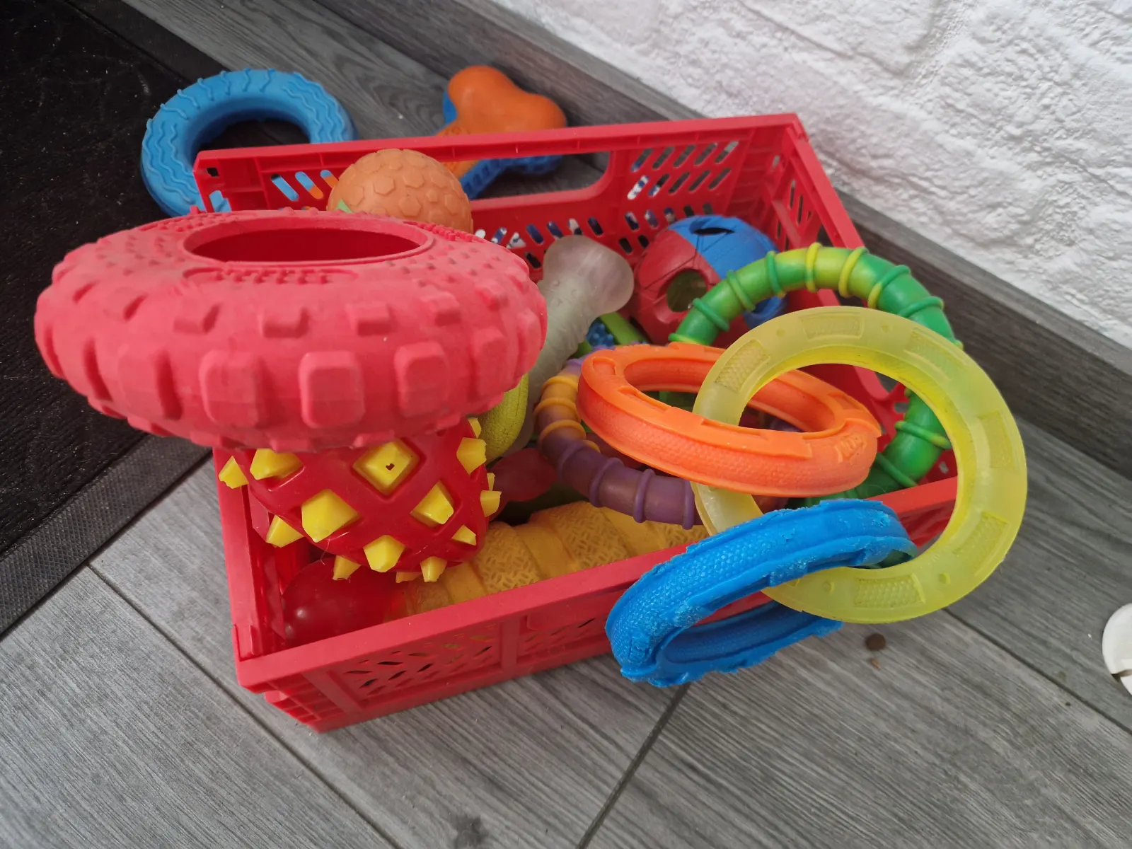 Diverse honden speeltjes